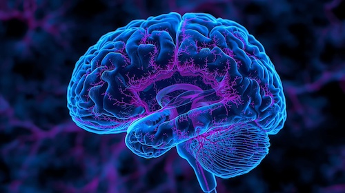 Neurology & Energy Support Products